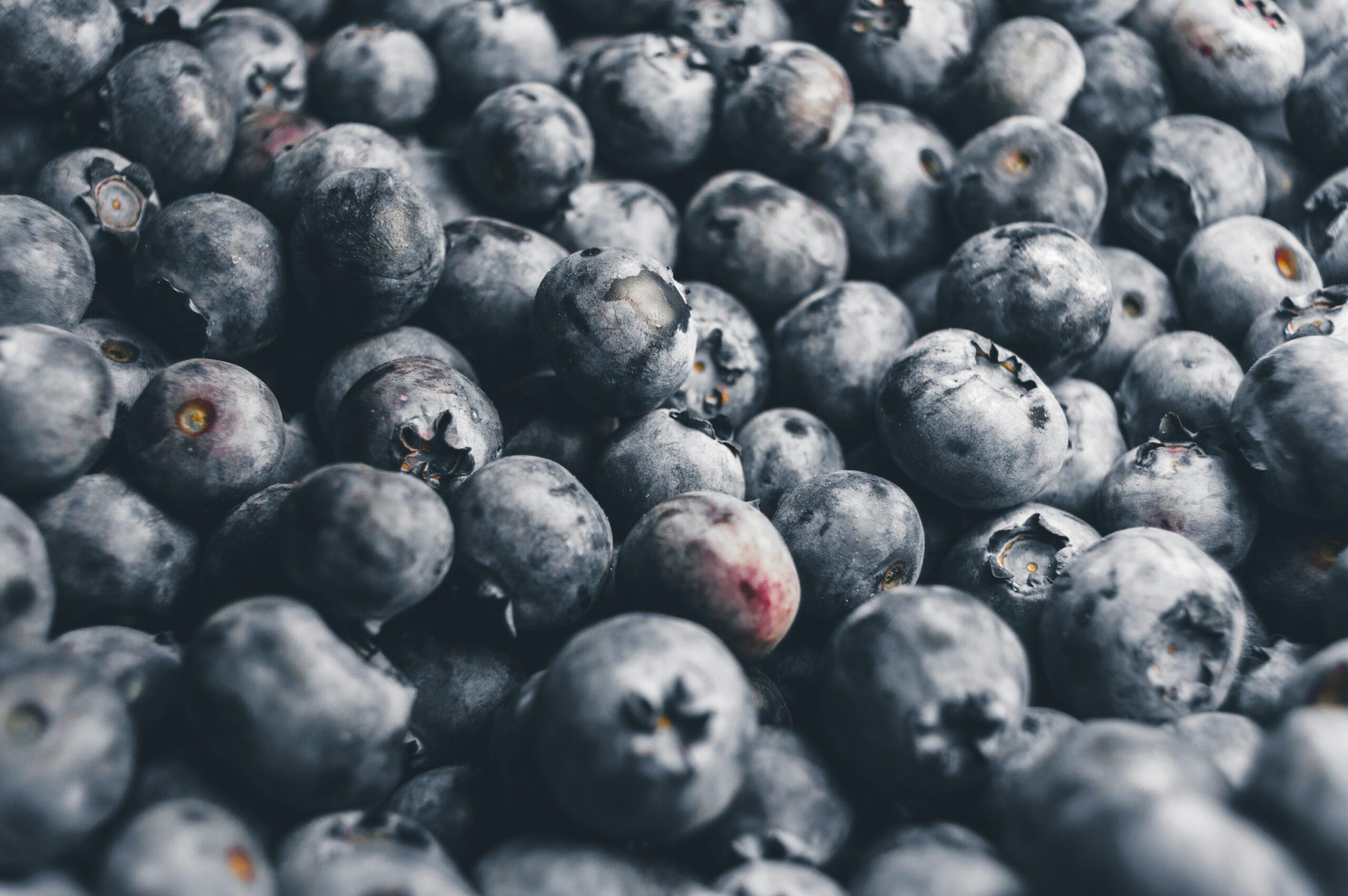 Things To Do Blueberry Festival